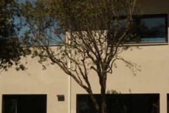 buanystudio-vivienda-escorial-18